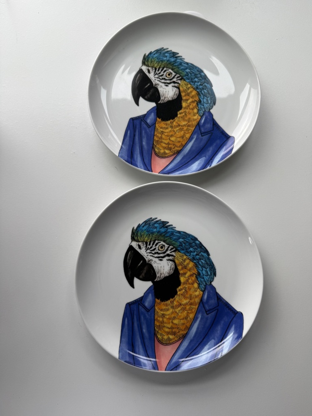 West Elm Rachel Kozlowski Dapper Animals Macaw Plates Set of 2 Rare Find